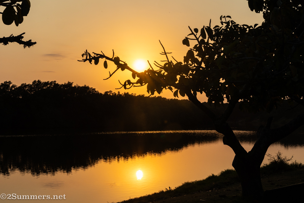 Mtunzini: A Beachy, Foresty Place in the Shade