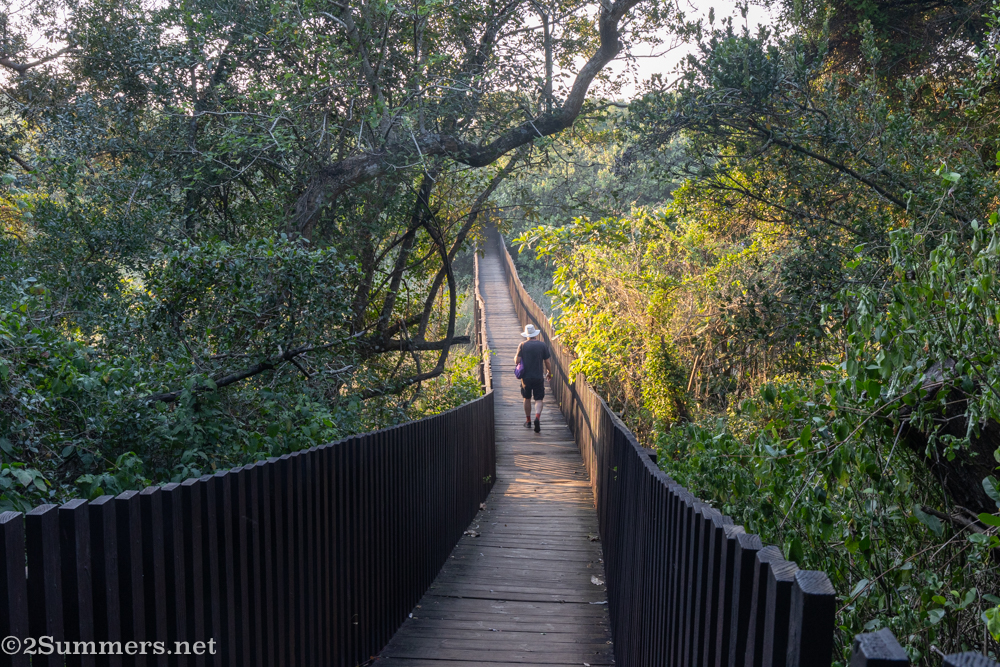 Boardwalk trail