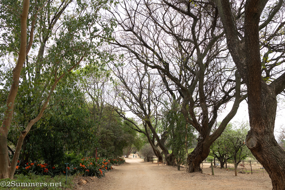 Farm road at Random Harvest
